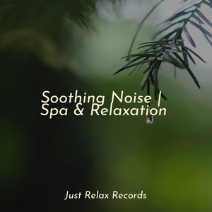 Enchanted Aria Above Clouds