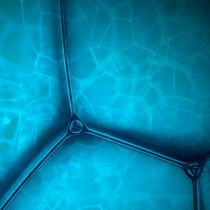 Liquid Cells (feat. Emre Onel)