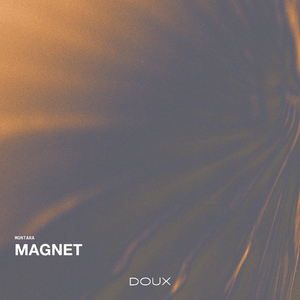 Magnet
