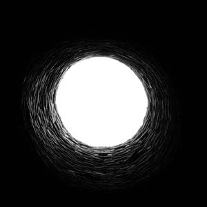 危机边缘（Fringe）