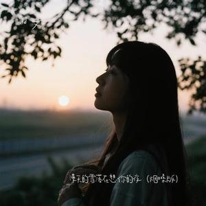 漫天的雪落在想你的夜