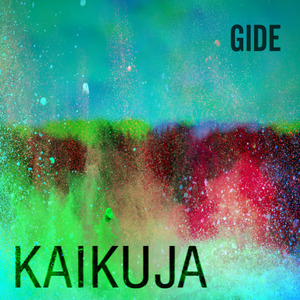 Kaikuja