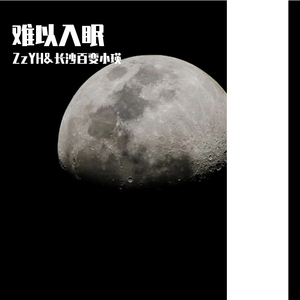 张信哲-难以入眠（ZzYH / 长沙百变小瑛 remix）