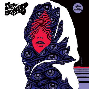 A Feather from Yesterday