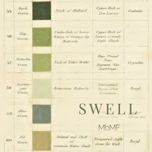 Swell