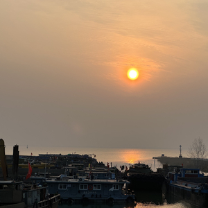 回忆是顽疾 时间是无效的药