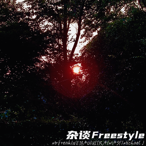 杂谈Freestyle