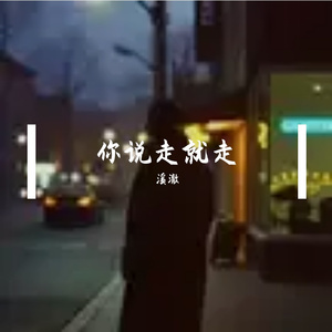 你说走就走