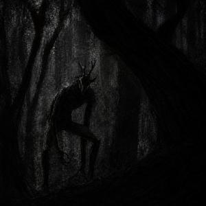 Shadow