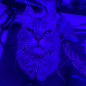 Pointless Romantic (feat. kinezos)