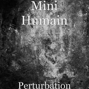 Perturbation
