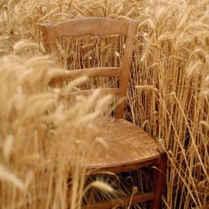 走到这一步（V2）