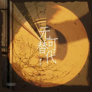 无可替代