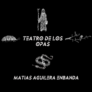 Bicho Bolita (En Vivo) [feat. Ángel Flores, Inti Huancar & Fernando Mendieta]
