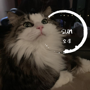 你不在北京-空凛.