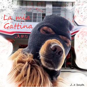 La mia Gattina