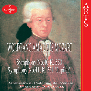 Symphony No. 40 In G Minor K.550: II. Andante