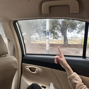 心小到只住得下你