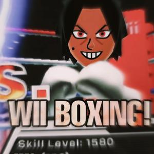 WII Boxing