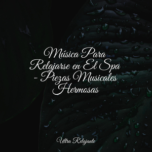 Perdido en El Paraíso