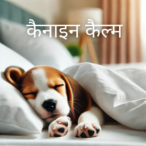 Mellow Melodies for Mutts