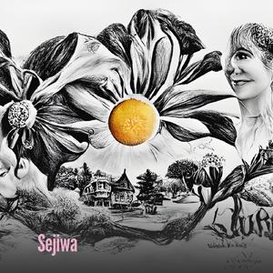 Sejiwa