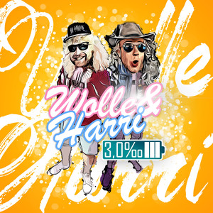 3,0 (Single Version)