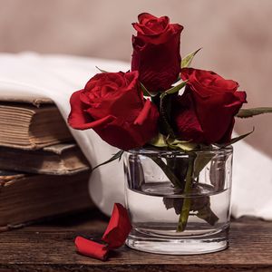 ドライフラワー（幹燥花）（ACE COVER）