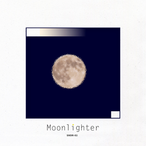 Moonlighter