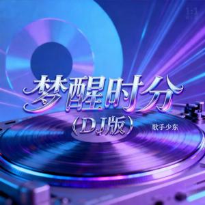 我终于失去了你（DJ版）