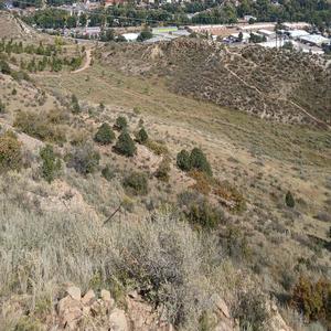 Love me a crazy bitch