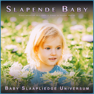 Slapende Baby