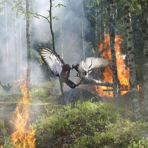 CHIACCHIERE (moncler RMX)