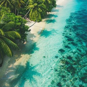 那些美好的曾经