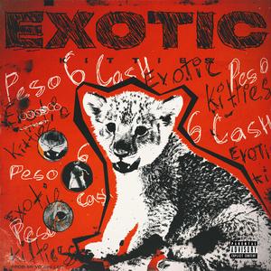 Exotic Kitties (feat. Yung Lan)