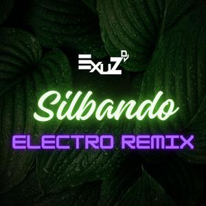 Silbando (Electro Remix)