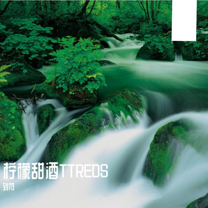 柠檬甜酒TTREDS