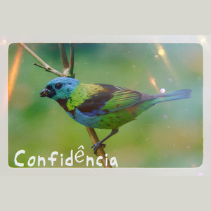 Confidência