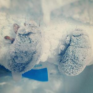 别怕路长梦远总有星河照耀