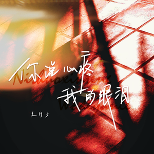你说心疼我的眼泪