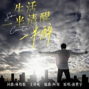 生活一半清醒一半醉