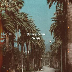 PALM AVENUE (feat. Harry M.) (Remix)