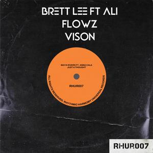 Vison (feat. Ali flowz official)