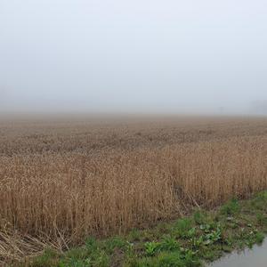 Gemeinsam gegen den Rest