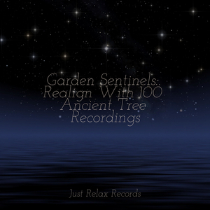 Drifting Reflections