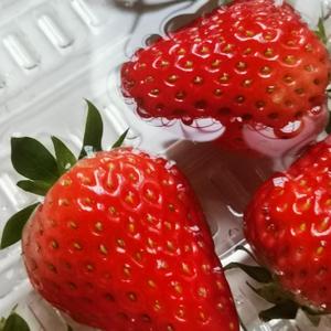 We Don't Talk Anymore