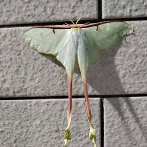 负重的星光-倾心以你