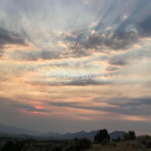 I Have Made No Friend In You