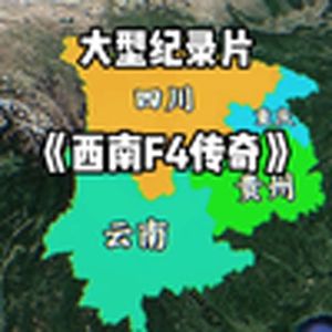 大型纪录片《西南F4传奇》
