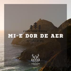 Mi-e dor de aer